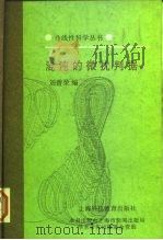 混沌的微扰判据（1994 PDF版）