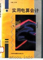 实用电算会计（1994 PDF版）