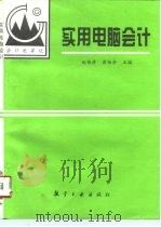 实用电脑会计（1995 PDF版）