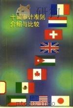 十国审计准则介绍与比较（1996 PDF版）