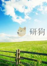 现代语言学：理论建设的新思考（第三届全国现代语言学研讨会论文集）（1994 PDF版）