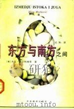东方与南方之间  1994年9月-1996年10月日记（1997 PDF版）