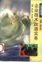 企业技术改造实务（1996 PDF版）