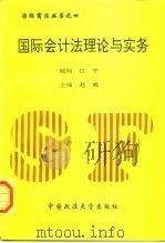 国际会计法理论与实务（1995 PDF版）