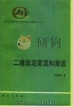 二维非定常流和激波 1994 PDF电子版封面 7030043766 王继海著