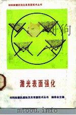 激光表面强化 1992 PDF电子版封面 7111016696 李志忠编著