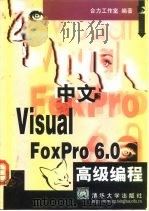 中文Visual FoxPro 6.0高级编程 1999 PDF电子版封面 7302034230 合力工作室编著