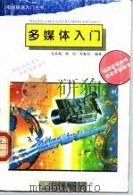 多媒体入门（1995 PDF版）