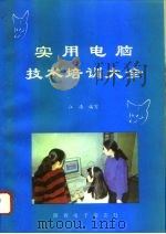 实用电脑技术培训大全（1995 PDF版）