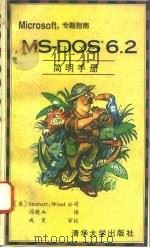 MS-DOS 6.2简明手册（1994 PDF版）