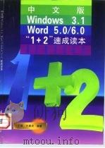 中文版Windows3.1 Word5.0/6.0“1+2”速成读本 1997 PDF电子版封面 7118016667 于琨,于建光编著