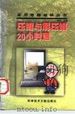压缩与解压缩20小时通（1997 PDF版）