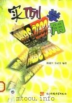 实例学用WPS 2000（1999 PDF版）