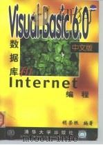Visual Basic 6.0中文版数据库和Internet编程 1999 PDF电子版封面 7302036454 胡荣根编著