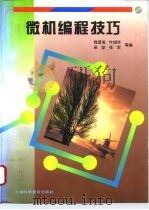 微机编程技巧（1996 PDF版）