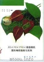 EGA VGA TVGA高级微机图形编程指南与实例（1995 PDF版）