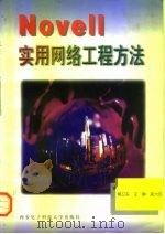 Novell实用网络工程方法 规划设计、设备选型、安装调试 1996 PDF电子版封面 7560604560 莫卫东等编著