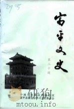富平文史  第20辑（1999 PDF版）