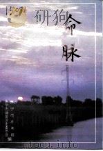 命脉：水利建设专辑（1994 PDF版）