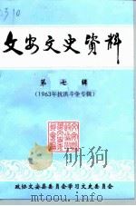 文安文史资料  第7辑  1963年抗洪斗争专辑（1999 PDF版）
