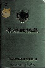 景洪政协志（1999 PDF版）
