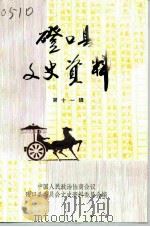 磴口县文史资料  第11辑（ PDF版）