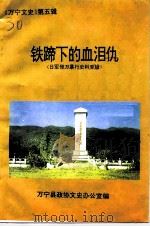万宁文史  第5辑  铁蹄下的血泪仇  日军侵万暴行史料专辑   1995  PDF电子版封面    万宁县政协文史办公室 