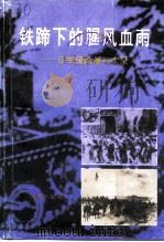 海南文史资料 第11辑 铁蹄下的腥风血雨 日军侵琼暴行实录 上 1995 PDF电子版封面 7806172424 符和积主编;海南省政协文史资料委员会编