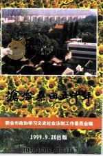 新会文史资料 第57辑 1999 PDF电子版封面 新会市政协文史资料工作委员会编