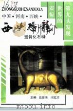 西峡文史资料 第6辑 西峡恐龙蛋骨化石群 1994 PDF电子版封面 张新海,闵延沛