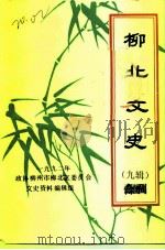 柳北文史  第9辑（1992 PDF版）