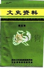 盐城县文史资料 第5辑 1996 PDF电子版封面 政协江苏省盐都县委员会文史资料委员会