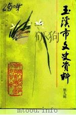 玉溪市文史资料  第9辑（1995 PDF版）
