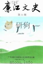 廉江文史  第11辑（1993 PDF版）