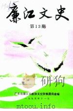 廉江文史  第13辑（ PDF版）
