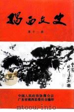 揭西文史  第11辑（1996 PDF版）