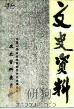 伊宁市文史资料 第4辑 1995 PDF电子版封面 中国人民政治协商会议伊宁市委员会文史资料委员会