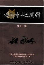 喀什市文史资料  第11辑（1996 PDF版）