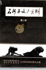 石河子文史资料 第2辑 1989 PDF电子版封面 中国人民政治协商会议石河子市委员会文史资料研究委员会编