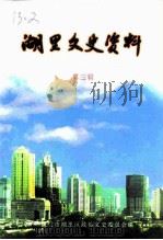 湖里文史资料  第3辑（1998 PDF版）