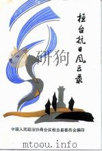 桓台抗日风云录（ PDF版）