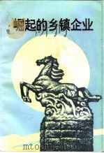 靖江文史资料 第12辑 崛起的乡镇企业 1994 PDF电子版封面 靖江市政协文史委员会编