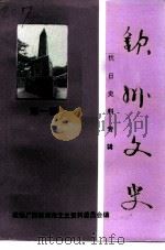 钦州文史 第1辑 钦州军民抗日斗争史料专辑 1995 PDF电子版封面 中国人民政治协商会议广西壮族自治区钦州市委员会文史资料委员会
