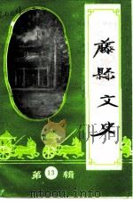 藤县文史 第13辑 1997 PDF电子版封面 藤县政协教卫文体委员会