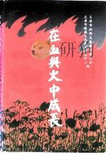 在血与火中成长（1995 PDF版）