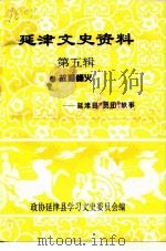 延津文史资料 第5辑 故道峰火-延津县“贾团”轶事 1995 PDF电子版封面 政协延津县文史资料委员会