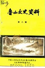 鲁山文史资料 第8辑 1992 PDF电子版封面 中国人民政治协商会议鲁山县委员会文史资料研究委员会