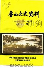 鲁山文史资料 第11辑 1995 PDF电子版封面 中国人民政治协商会议鲁山县委员会文史资料研究委员会