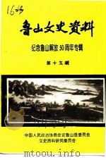鲁山文史资料 第13辑 1997 PDF电子版封面 中国人民政治协商会议鲁山县委员会文史资料研究委员会