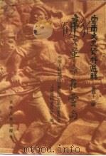 云南文史资料选辑  第41辑  辛亥革命在云南（1991 PDF版）